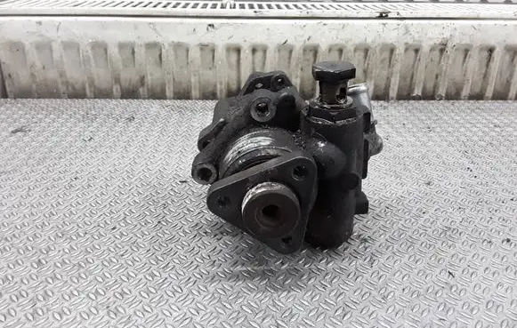 Volkswagen PASSAT B5.5 Power steering pump 7690955102