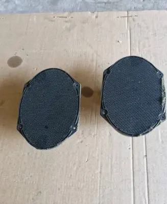 Rear door speaker