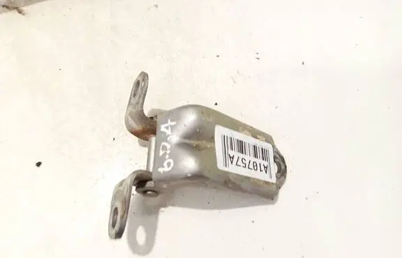 Rear door lower hinge
