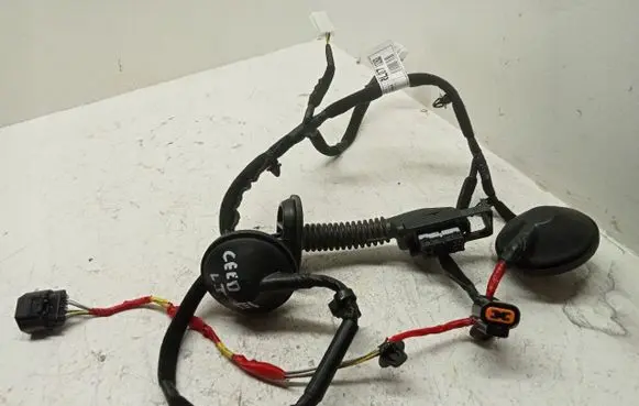 KIA Ceed Rear door wiring loom 85000