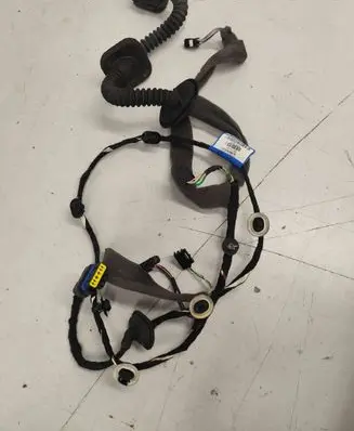 Renault Laguna III Rear door wiring loom 00175550 241261967R