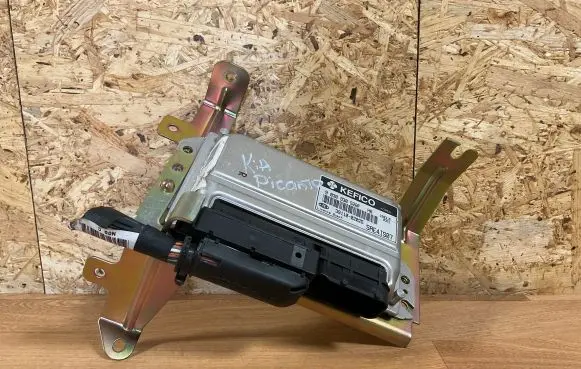 KIA Picanto Engine control unit/module 3911002025 9030930528F SAE41S07
