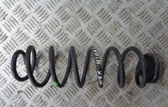 Rear coil spring