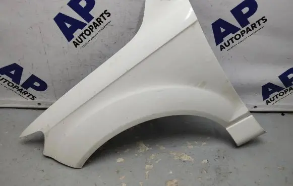 Audi Q7 4L Fender 10821105