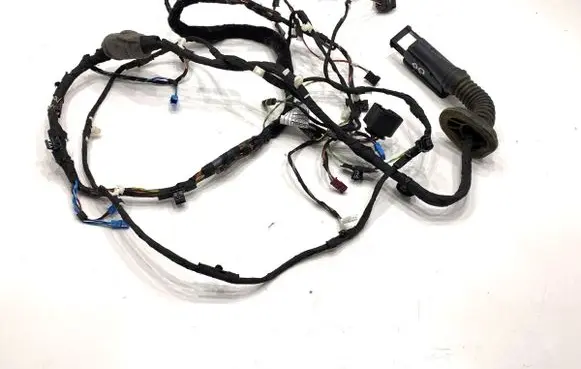 BMW 5 G30 G31 G38 Front door wiring loom 