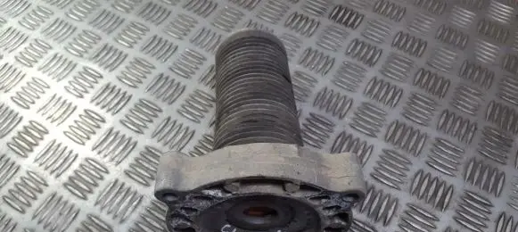 Coil spring mount