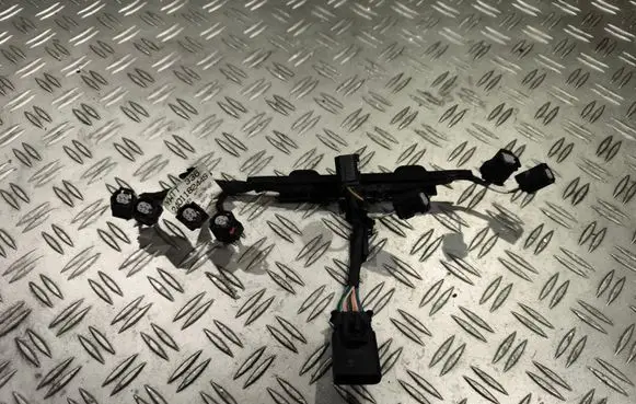 Renault Arkana Fuel injector wires 240118244S