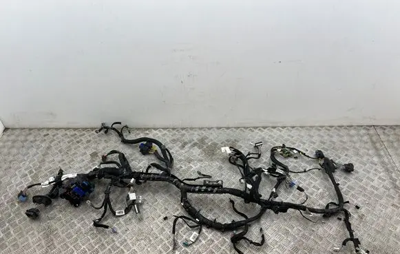 Renault Megane IV Other wiring loom 243800453R 240183355V 285C66357R