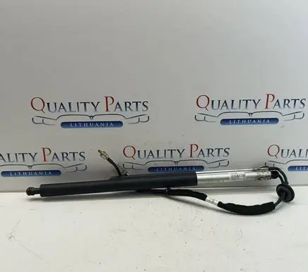 Volvo XC60 Tailgate/trunk strut/damper 30754548