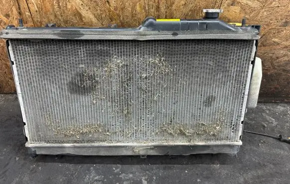 Subaru Outback Coolant radiator