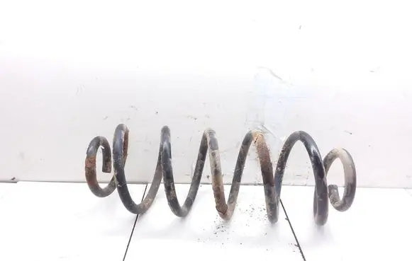 Rear coil spring