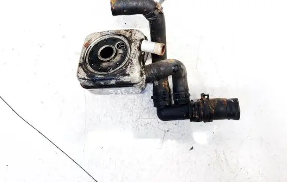 Volkswagen PASSAT B4 Engine oil radiator 