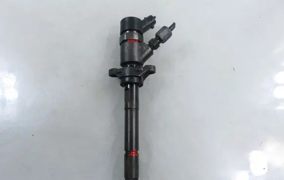 Peugeot Partner Fuel injector 0445110259