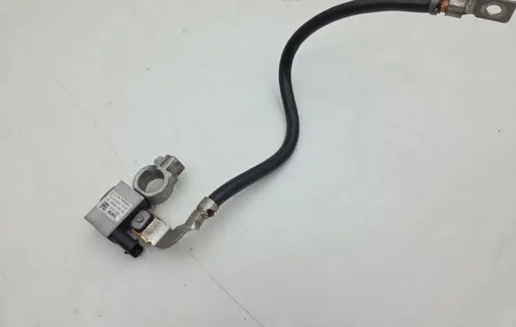 BMW X5 E70 Negative earth cable (battery) 12037310 7603567 0190626834