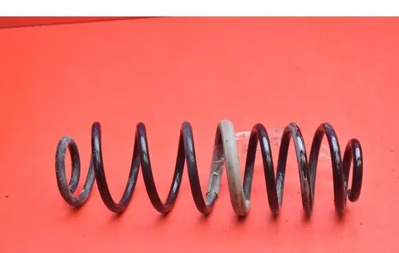 Ford Transit - Tourneo Connect Rear coil spring