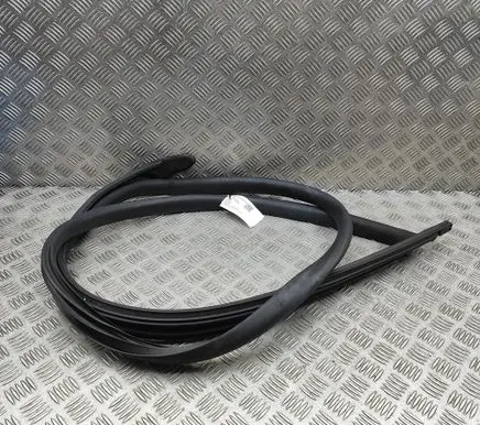 Tesla Model 3 Rubber seal front door (on door) 191098401A