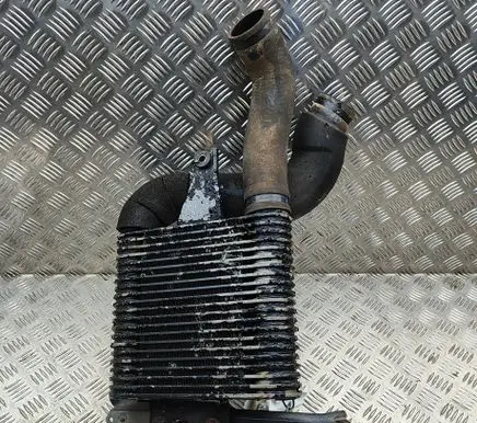 Toyota Land Cruiser (J100) Intercooler radiator 1794017010 1734317011