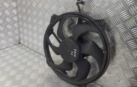 Peugeot 307 Fan set 