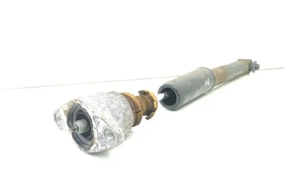 Audi A6 S6 C6 4F Rear shock absorber/damper