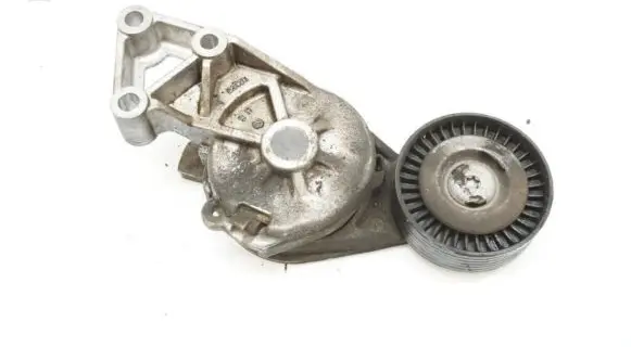 Volkswagen Golf IV Timing belt/chain tensioner 