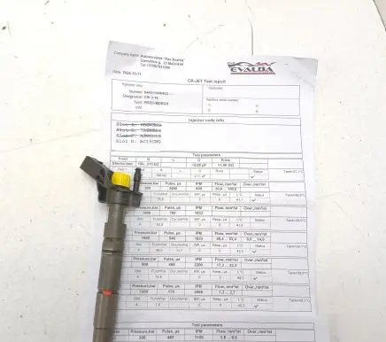 Chrysler 300 - 300C Fuel injector A6420701387 0445115064