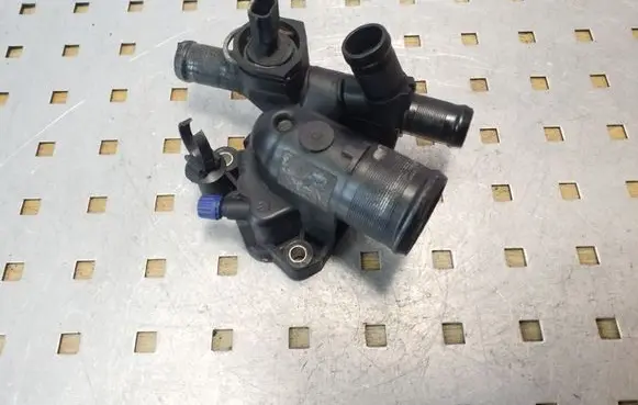 Thermostat/thermostat housing