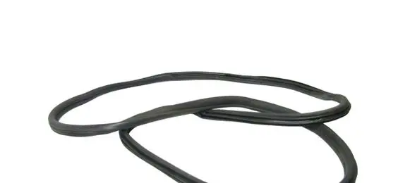 BMW X5 E70 Rubber seal rear door 7234931