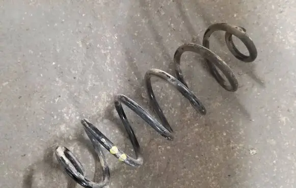 Rear coil spring