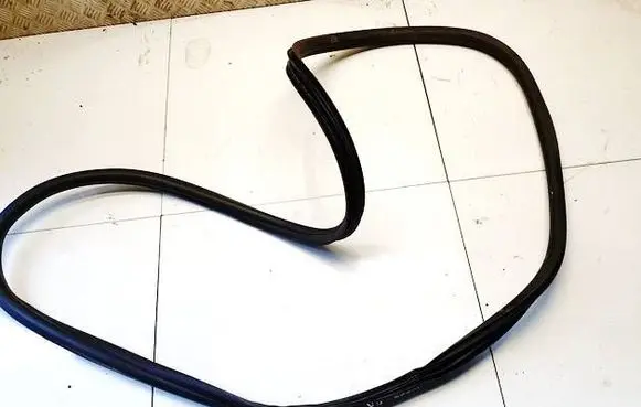Citroen DS3 Rubber seal front coupe door 