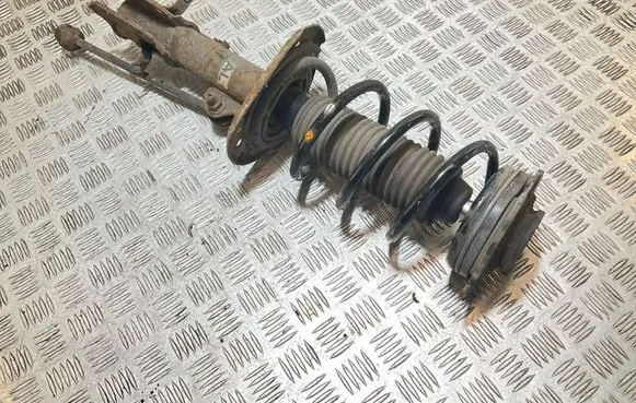 Nissan Juke I F15 Front shock absorber/damper