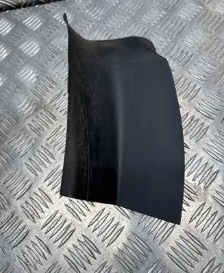Rear/tail light trim molding