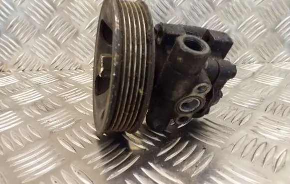 KIA Carens I Power steering pump 1710026300 YSB109