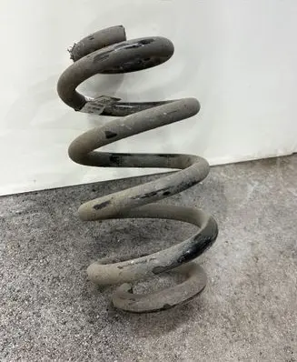 Rear coil spring
