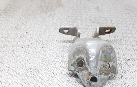 Hyundai Terracan Front door lower hinge 