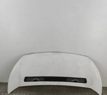 Citroen Jumpy Engine bonnet/hood 7901N1