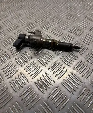 Peugeot 5008 Fuel injector 9674973080 50274V05 67207