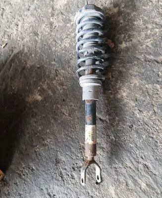 Mercedes-Benz CLS C219 Front shock absorber/damper A2193200713