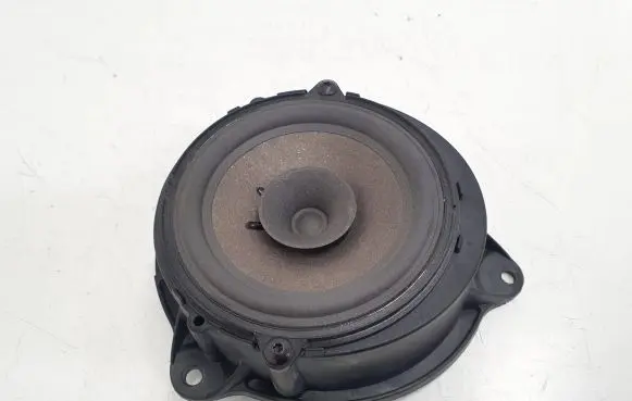 Renault Kangoo II Front door speaker 8200495686