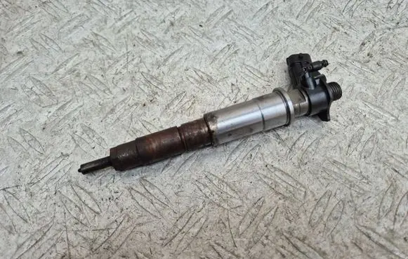 Renault Megane III Fuel injector 0445115084