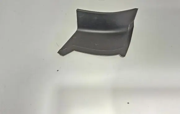 Rear/tail light trim molding