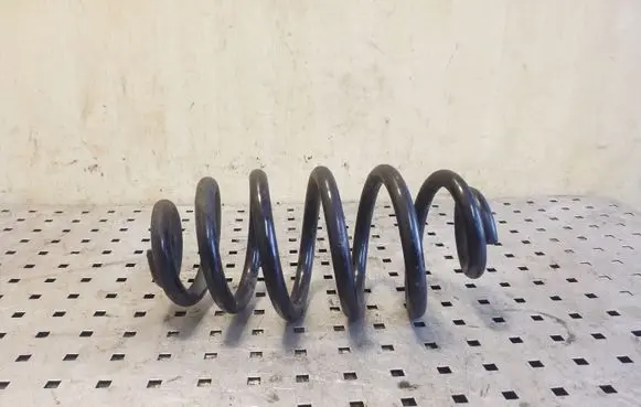 Seat Exeo (3R) Rear coil spring