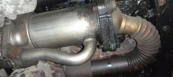Renault Laguna III EGR valve cooler