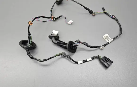 Rear door wiring loom