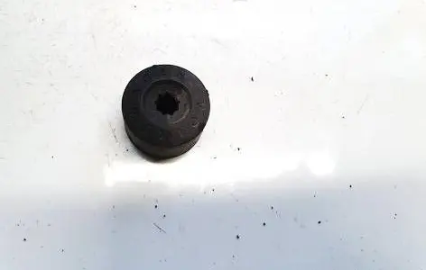 Volkswagen Golf V Wheel nut cap/cover 1k0601173a