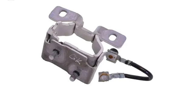 Tailgate/trunk/boot hinge