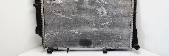 Mercedes-Benz C W202 Coolant radiator 2025006303