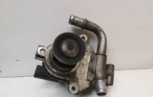 Nissan Juke I F15 EGR valve 8200846454