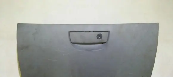 Chrysler 300 - 300C Glove box 48876a