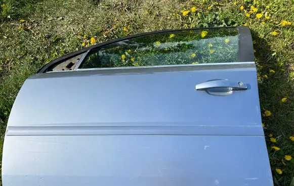 Opel Signum Front door Z163