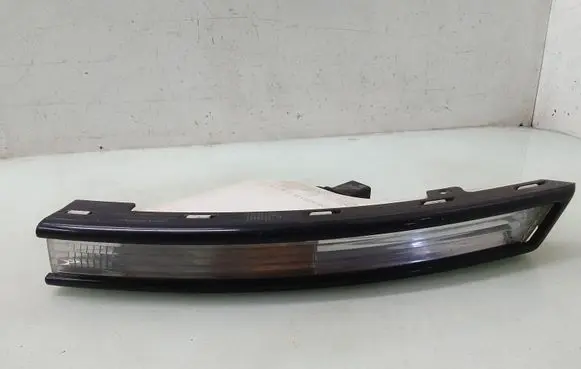 Volkswagen PASSAT B6 Front indicator light 3C0953041L